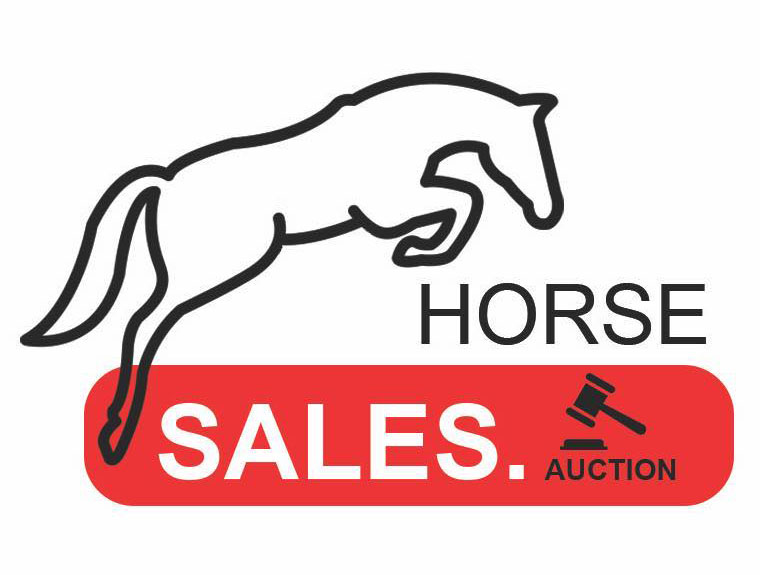 Online Horse Auction Site